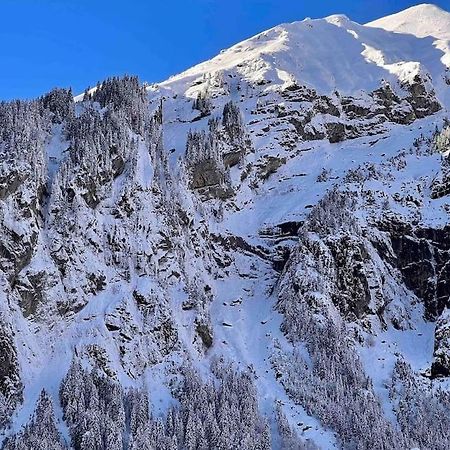 Waterfall View Kandersteg Exterior foto