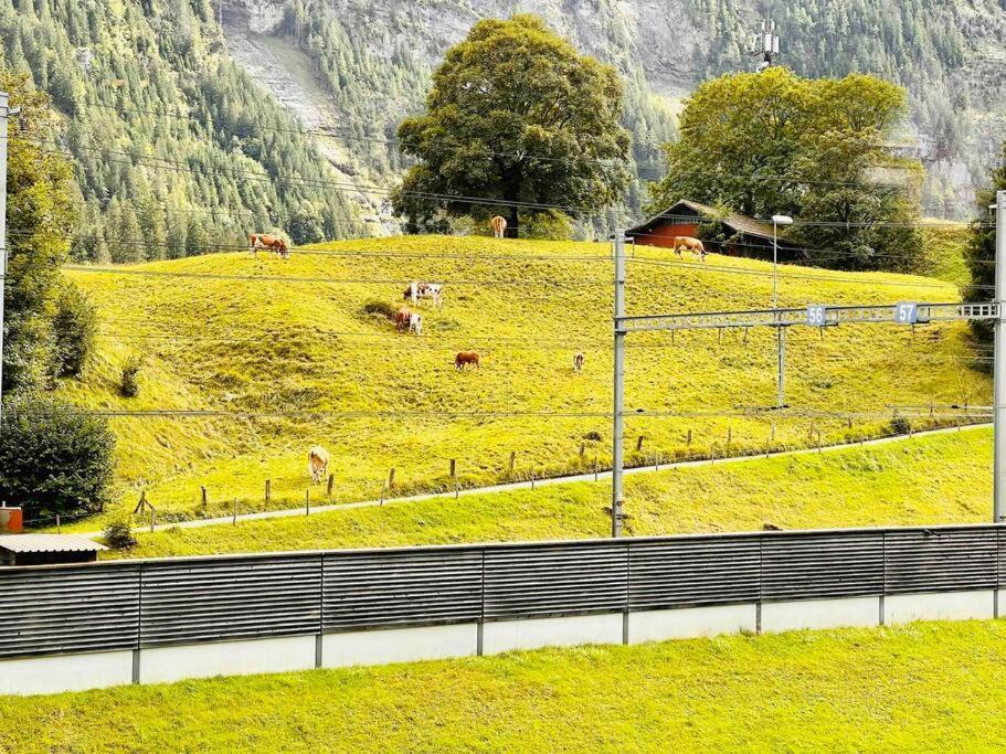 Waterfall View Kandersteg Exterior foto